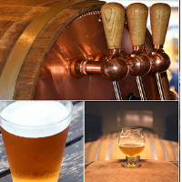 אלכוהול והשפעתו על הגוף