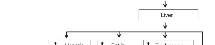 מדוע שתייה ממותקת עלולה להיות מסוכנת?