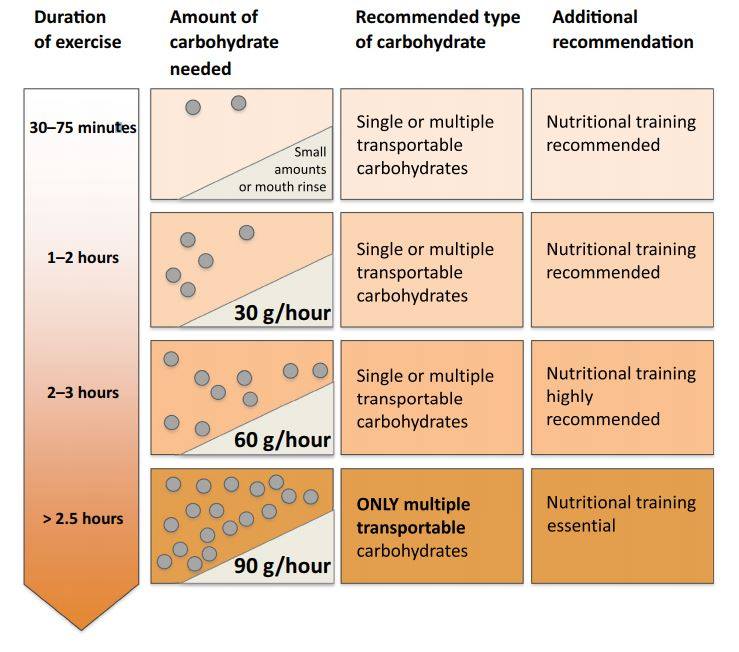 התאמה אישית של פחמימות לספורטאים בזמן אימון סיבולת