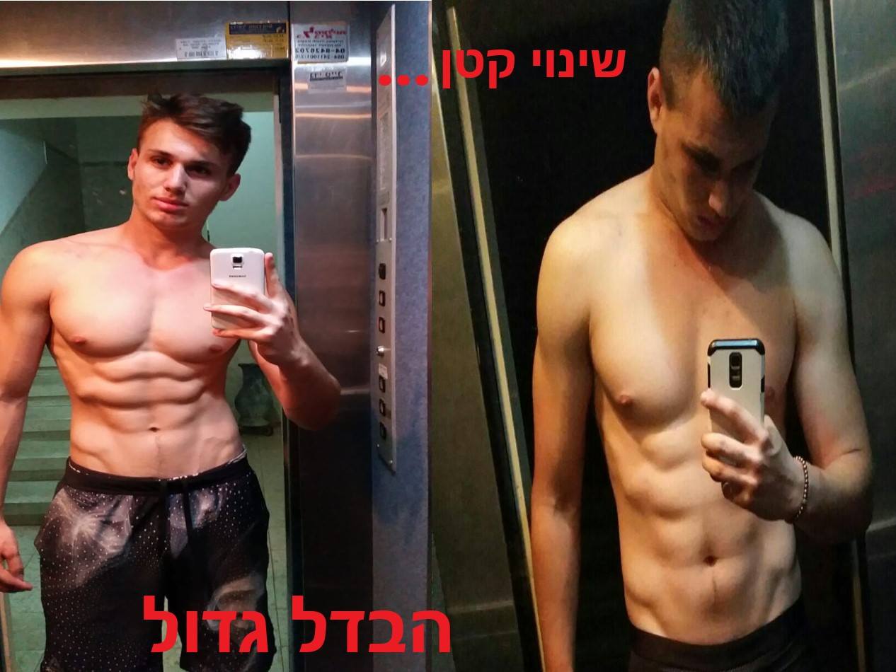 סיפור ההצלחה של תמיר