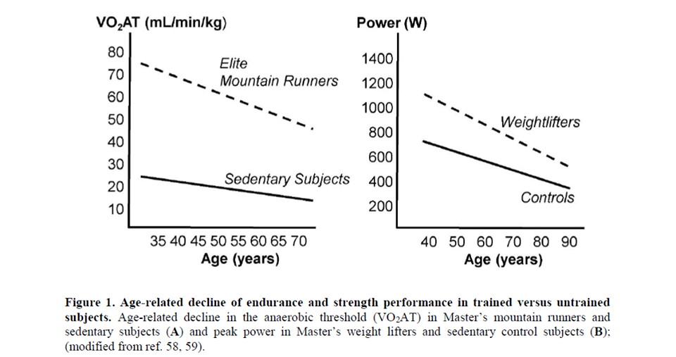 ההשפעה של כח השרירים שלנו על אריכות ימים