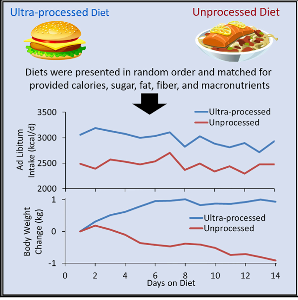 מזון מעובד , דיאטה , ופרקטיקה