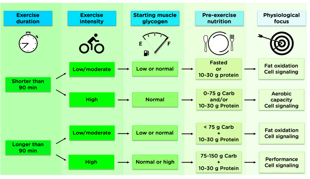 האם חייבים לאכול לפני אימון