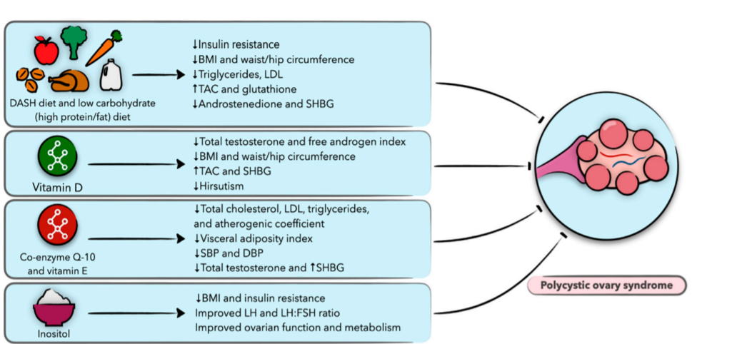 תזונה ושחלות פוליצסטיות