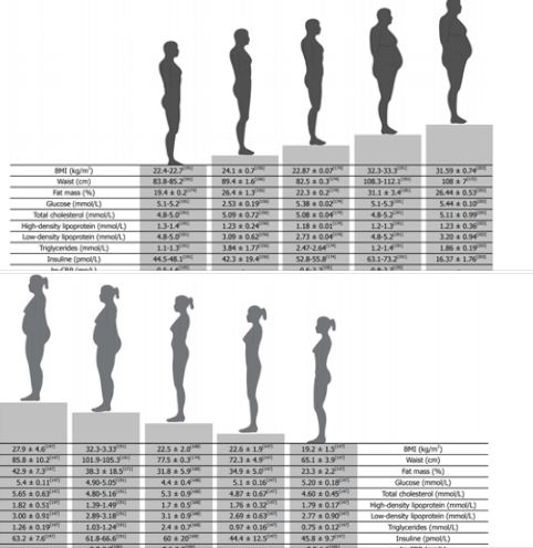 רזה כלפי חוץ ושמן מבפנים